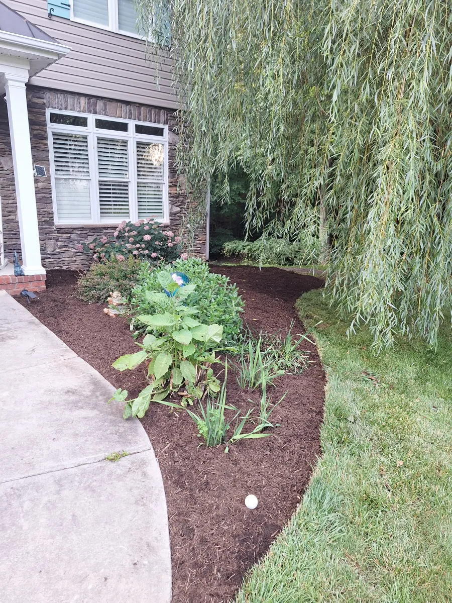 restored flower bed after cleanup with neat borders Mocksville NC