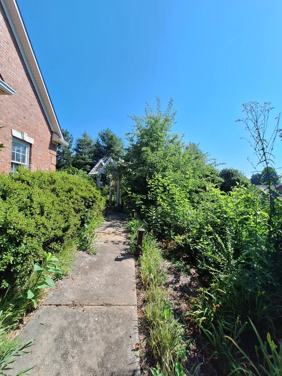 worn front walkway with dirt buildup before restoration Mocksville NC