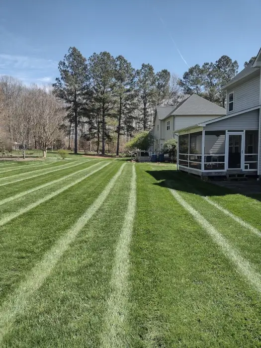 Professional lawn striping by Olmedo Home Services