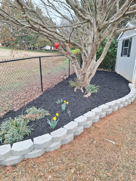 Second Flower Bed After