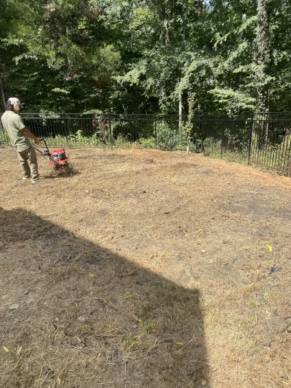 Olmedo Home Services team installing fresh sod - professional lawn installation in progress Mocksville NC