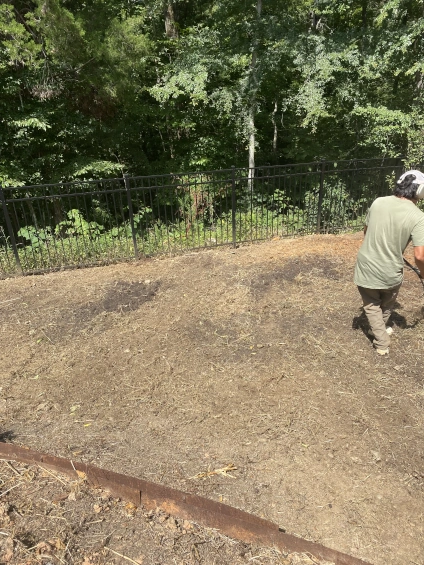Professional sod installation work showing careful placement and leveling - Mocksville NC lawn services