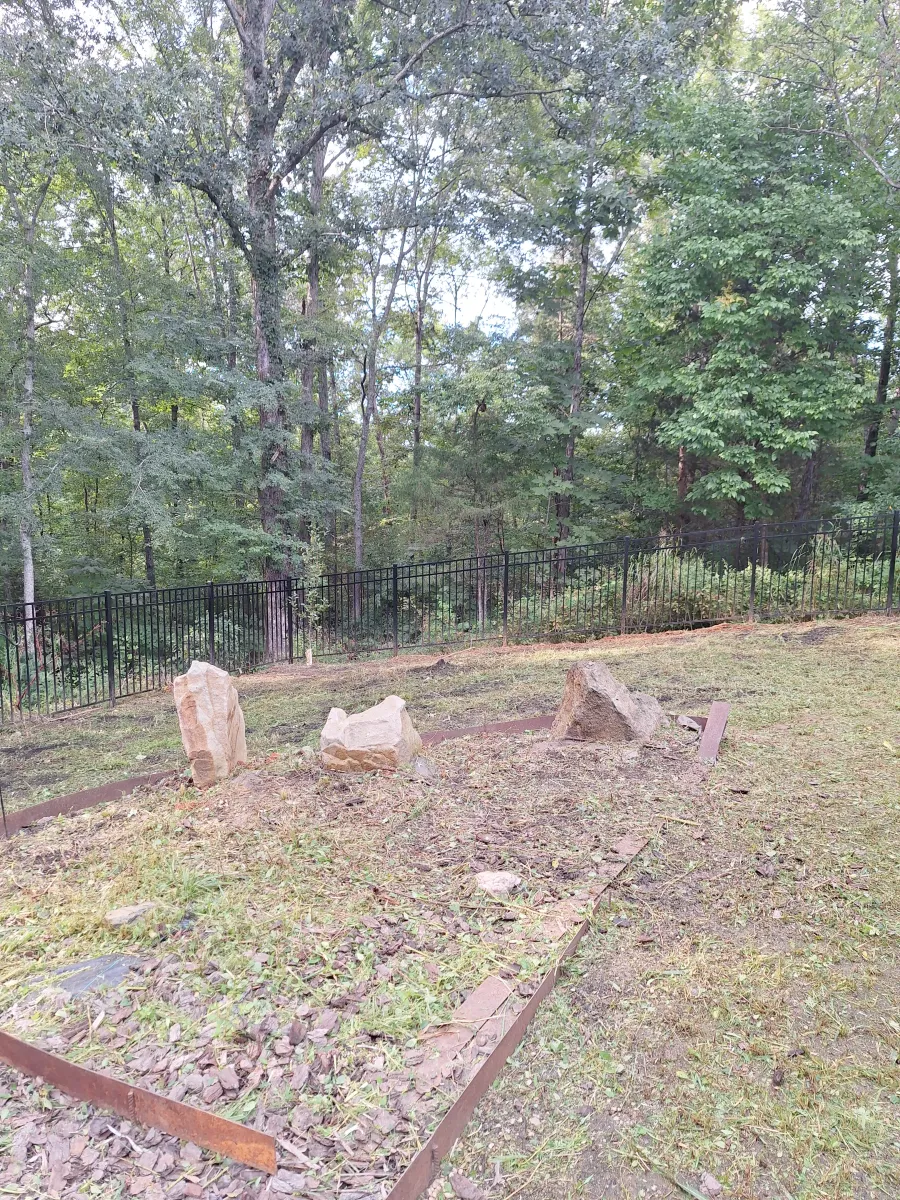 Brush Clearing after
